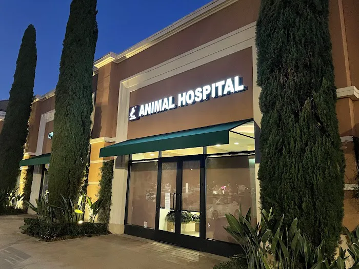 VCA Irvine Boulevard Animal Hospital Picture 3