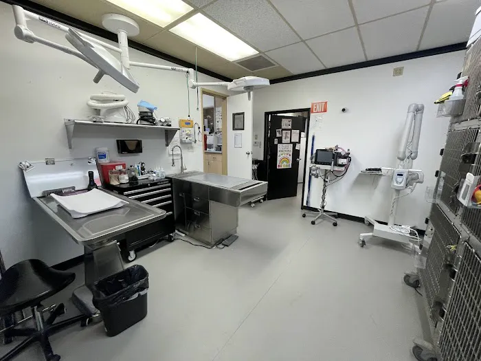 VCA Irvine Boulevard Animal Hospital Picture 8