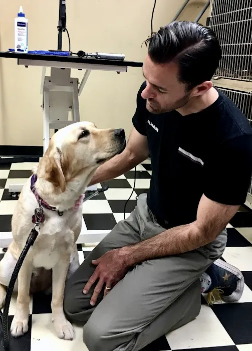VCA Irvine Boulevard Animal Hospital Picture 9