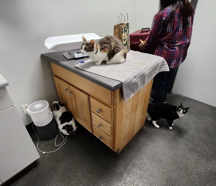 Northwood Animal Hospital Picture 2