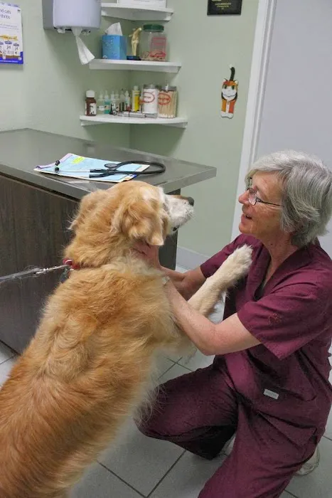 Northwood Animal Hospital Picture 3