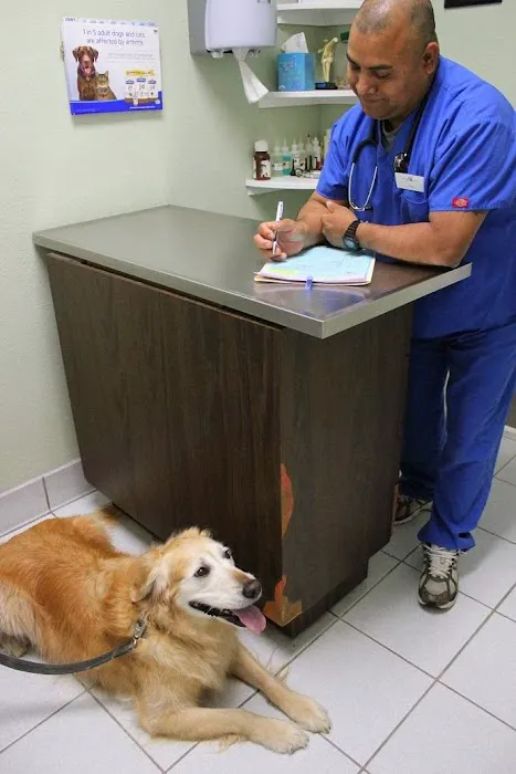 Northwood Animal Hospital Picture 10