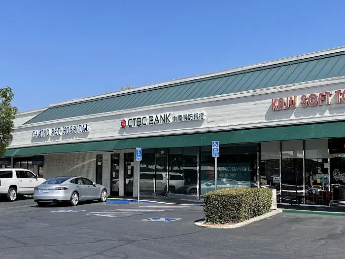 Camino Pet Hospital Picture 5