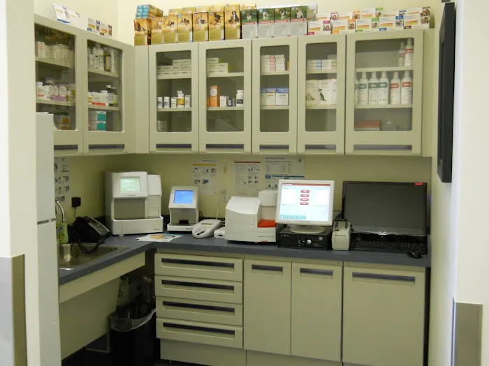 Quail Animal Hospital Picture 2