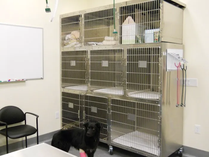 Quail Animal Hospital Picture 8