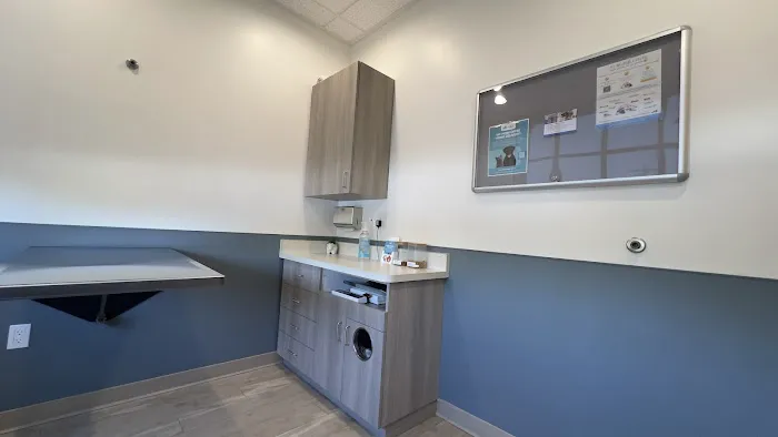 Quail Animal Hospital Picture 6
