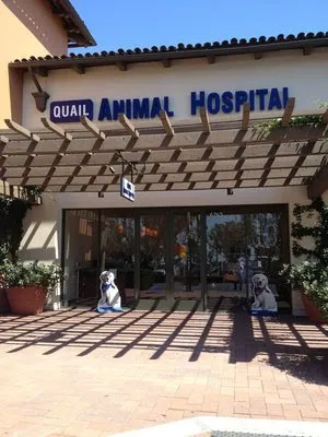 Quail Animal Hospital Picture 10