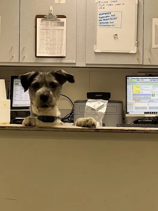 Canyon Animal Hospital Picture 6