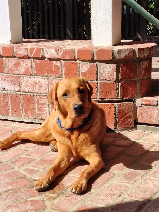Canyon Animal Hospital Picture 10