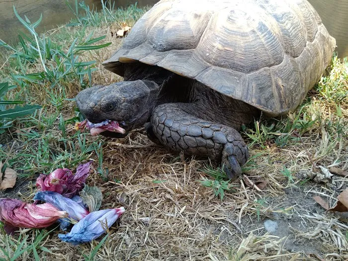 Irvine Valley Veterinary Hospital Emergency Picture 3