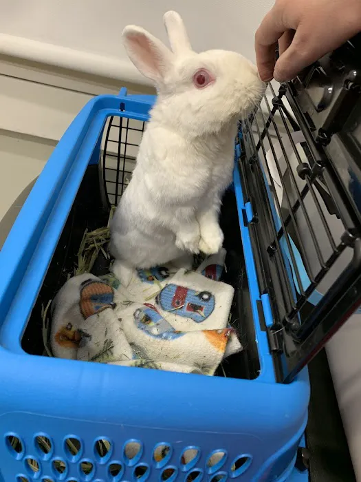 Irvine Valley Veterinary Hospital Emergency Picture 5