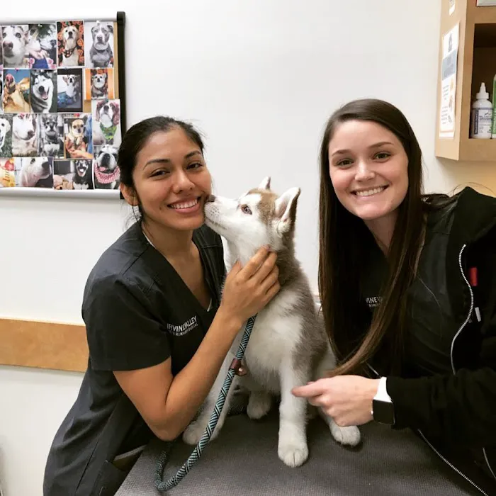 Irvine Valley Veterinary Hospital Emergency Picture 7