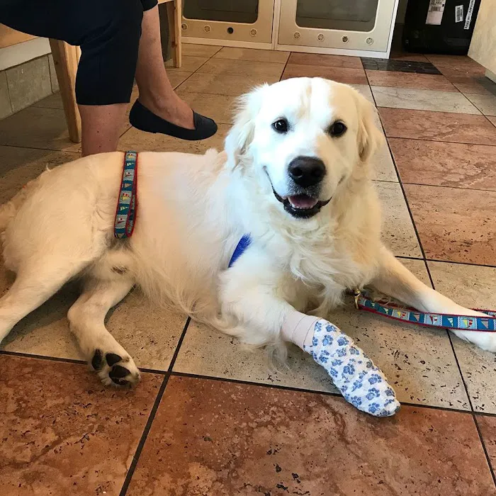 Irvine Valley Veterinary Hospital Emergency Picture 10