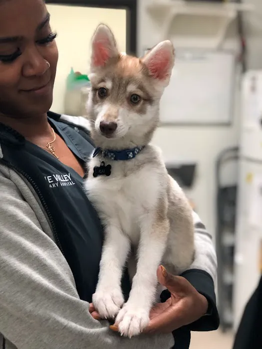 Irvine Valley Veterinary Hospital Emergency Picture 9