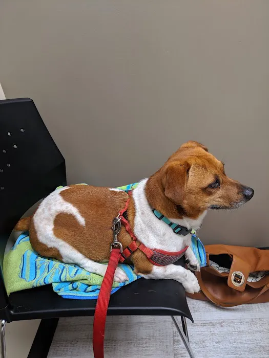 Lakeway Animal Medical and Surgical Clinic Picture 7