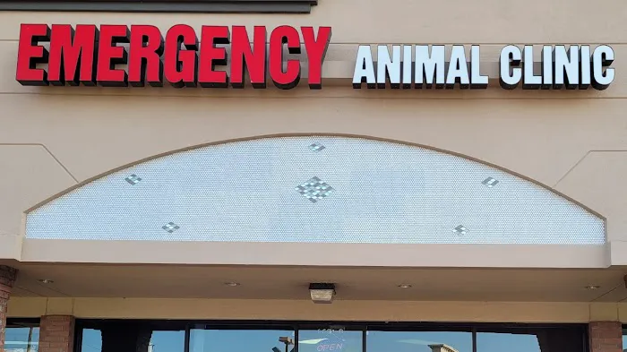 Willis Emergency Animal Clinic Picture 10