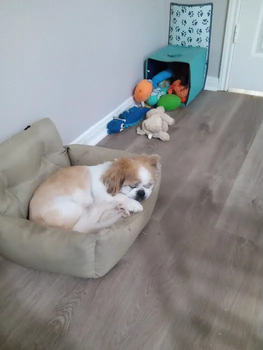 Willis Animal Hospital Picture 5