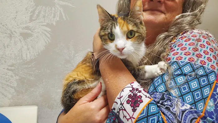Spring Hill Animal Hospital Picture 4