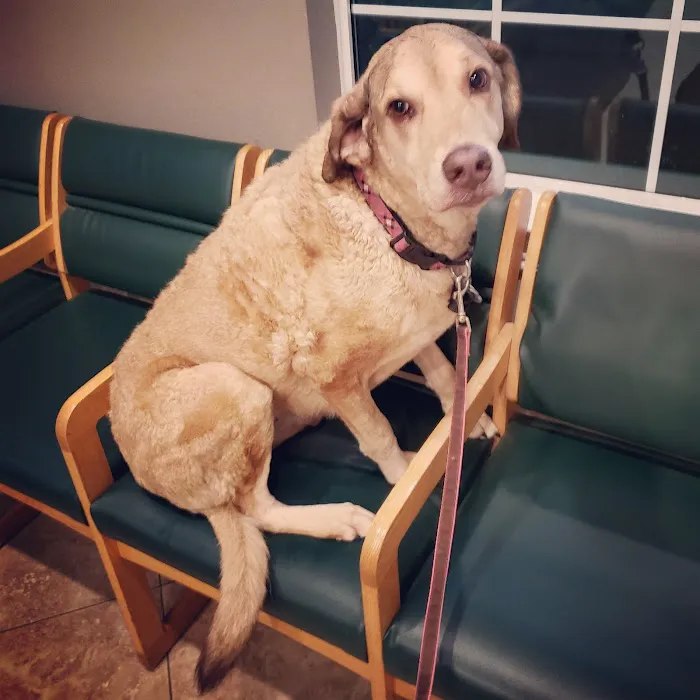 Shady Brook Animal Hospital Picture 5