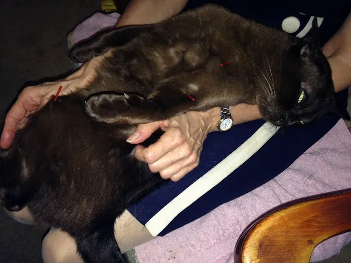 TCVM for Animals Picture 2