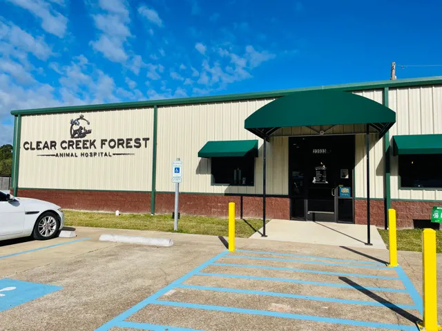 Clear Creek Forest Animal Hospital Picture 9