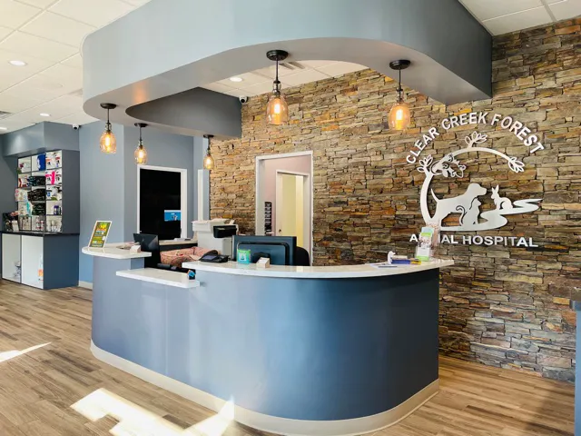 Clear Creek Forest Animal Hospital Picture 8