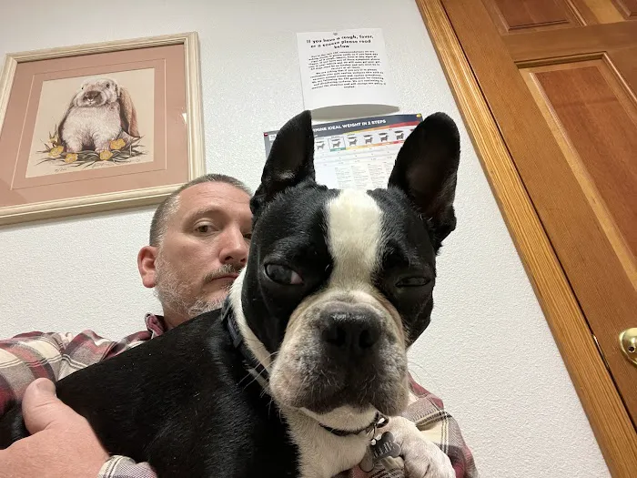 Smith Flat Animal Hospital Picture 3