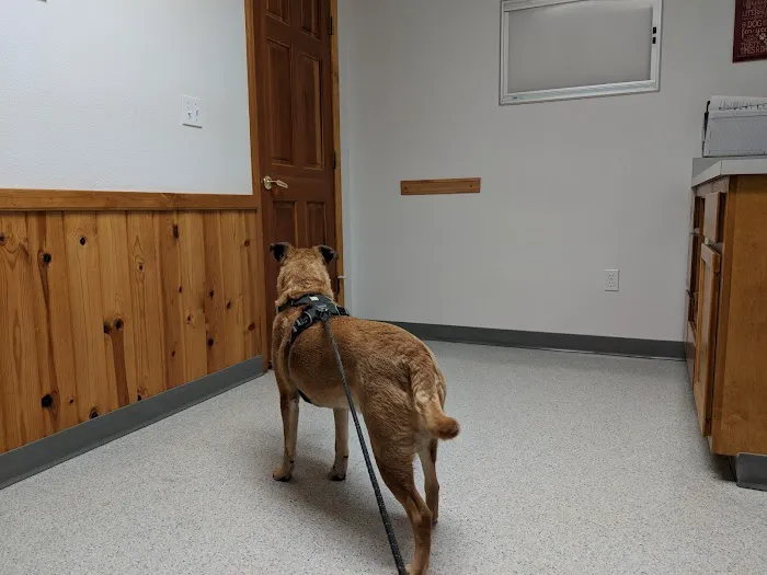 Smith Flat Animal Hospital Picture 8