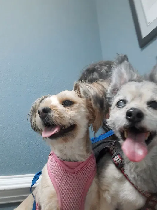 Chowan Animal Hospital Picture 4