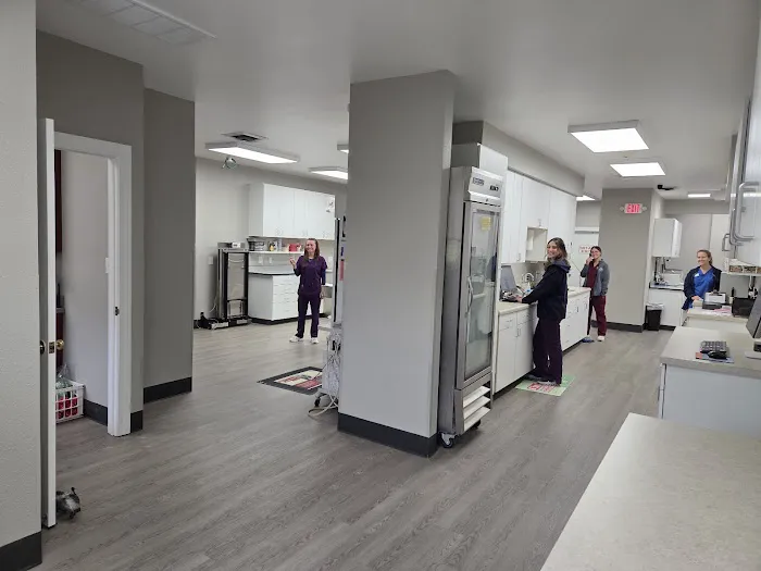 Chowan Animal Hospital Picture 6