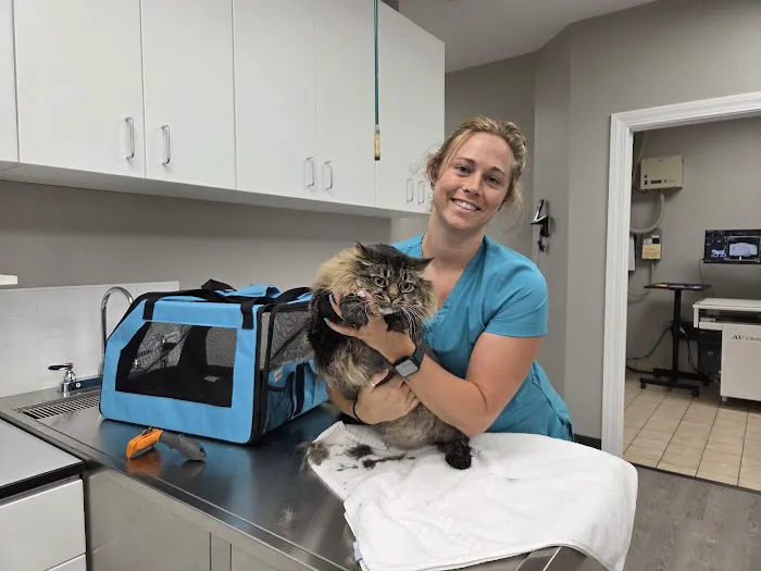 Chowan Animal Hospital Picture 10