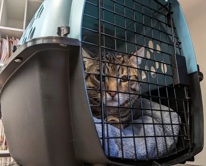 Evergreen Animal Care Center Picture 8