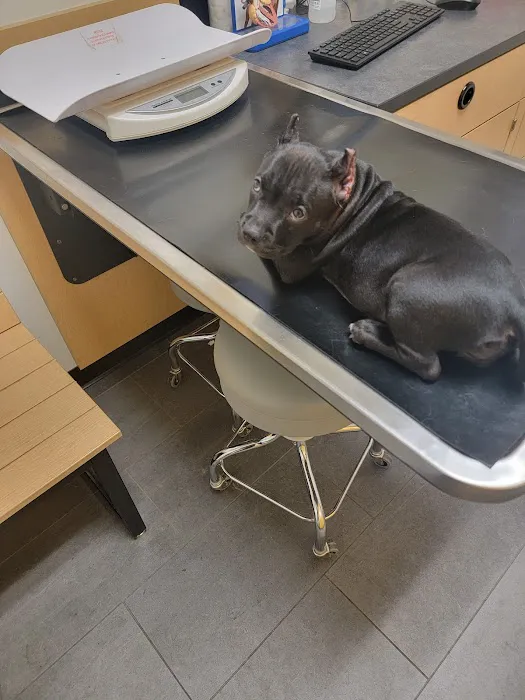 Banfield Pet Hospital Picture 1