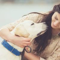 Roswinn Pet Hospital ico