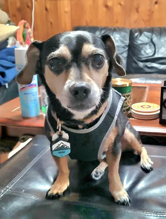 Roswinn Pet Hospital Picture 4