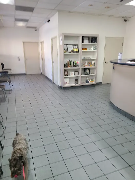 Northridge Veterinary Center Picture 2