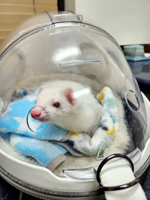 Northridge Veterinary Center Picture 5