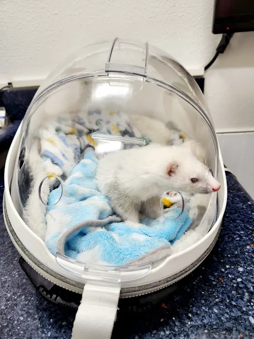 Northridge Veterinary Center Picture 10