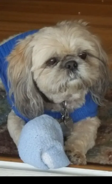 Northridge Veterinary Center Picture 9