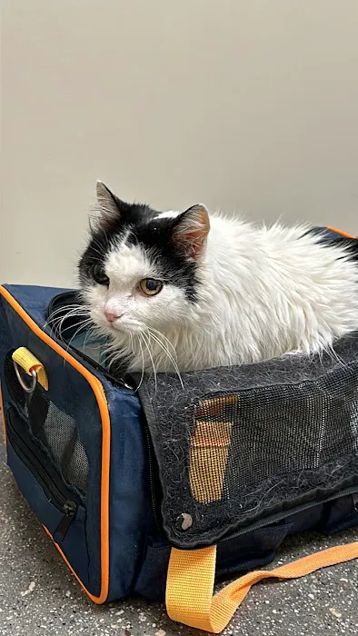 Vetco Total Care Animal Hospital Picture 8