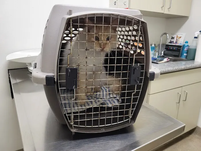 Winnetka Animal Clinic Picture 3