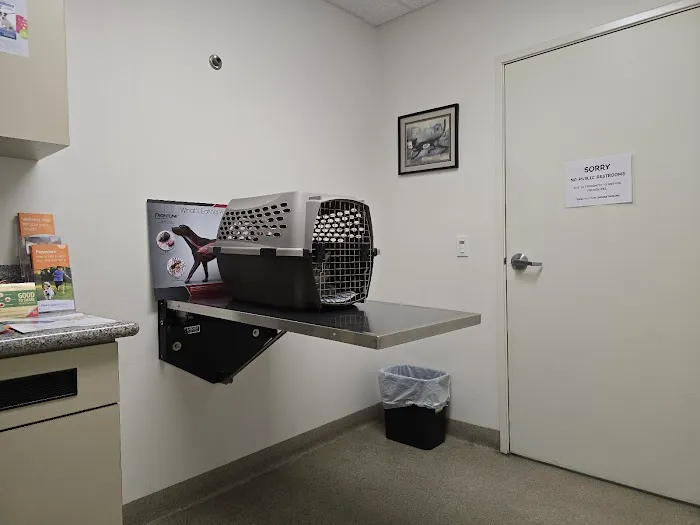 Winnetka Animal Clinic Picture 6