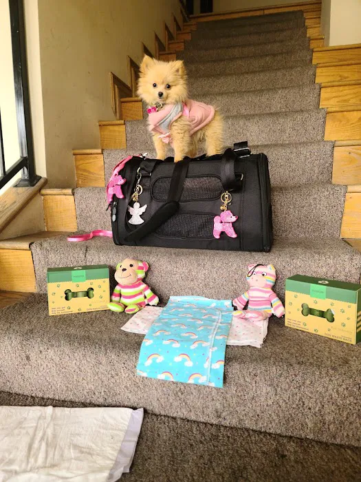 Winnetka Animal Clinic Picture 9