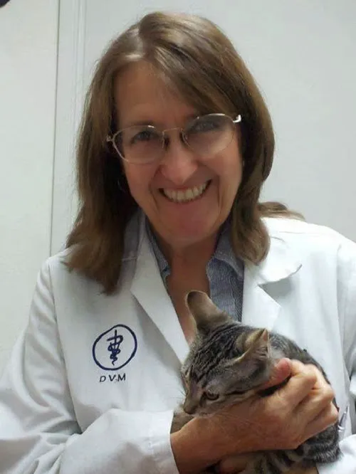 Cat's Meow Veterinary Clinic Picture 4