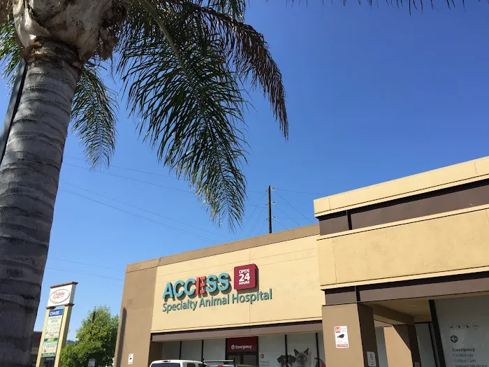 ACCESS Specialty Animal Hospitals - San Fernando Valley Picture 2