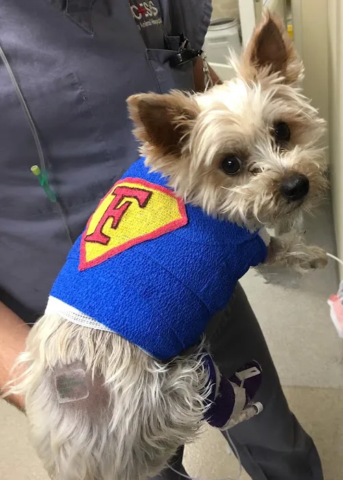 ACCESS Specialty Animal Hospitals - San Fernando Valley Picture 3