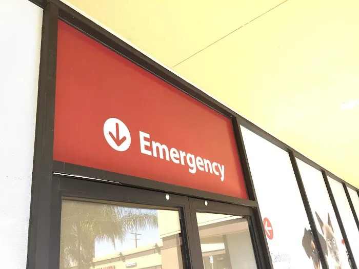 ACCESS Specialty Animal Hospitals - San Fernando Valley Picture 8