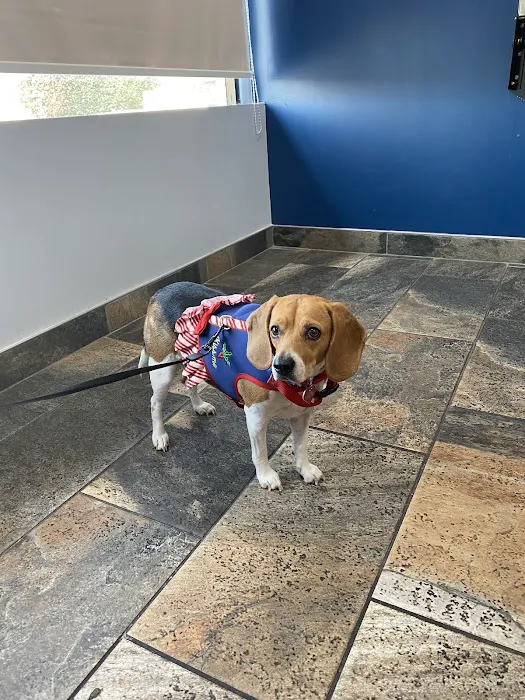 Rancho West Animal Hospital Picture 1