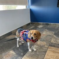 Rancho West Animal Hospital ico