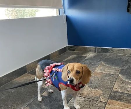 Rancho West Animal Hospital